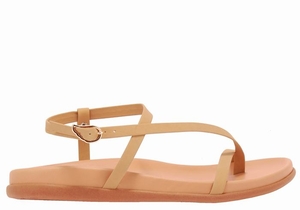 Sandales Bride Arrière Ancient Greek Sandals Aimilia   | YUC-4474236